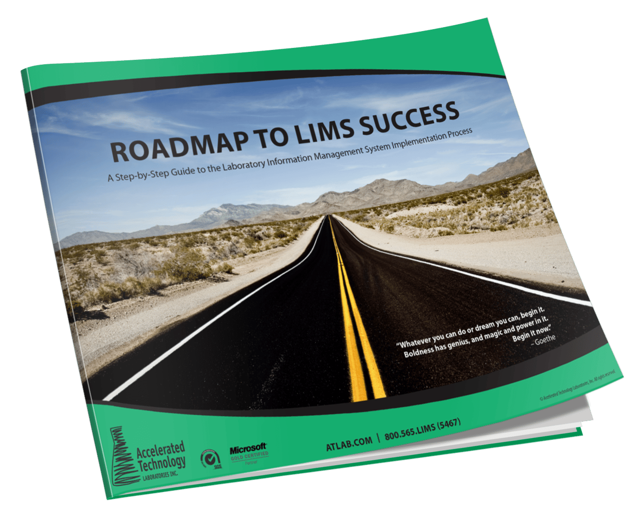 Roadmap to LIMS Success (3D)